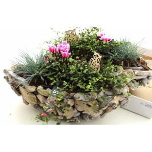 ARR TUINPLANTEN