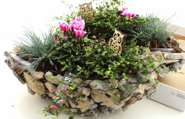 <h4>ARR TUINPLANTEN</h4>