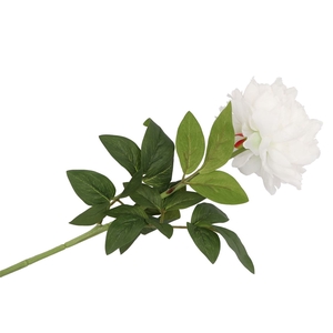 Silk Peony Tak White 71cm