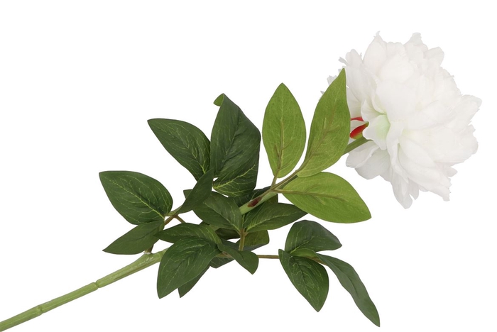 <h4>Silk Peony Tak White 71cm</h4>