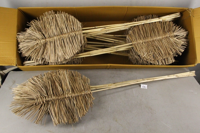 <h4>DF Boho Leaf 35cm H110cm Nat.</h4>