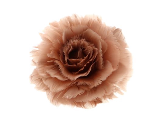 Feather Rose Clip H8D11