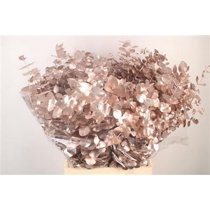 Euca Cin V Champagne 400 Gram