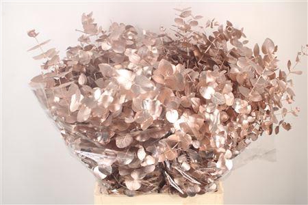 <h4>Euca Cin V Champagne 400 Gram</h4>