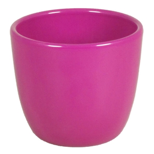 Boule D7,5xH6cm ES5,5/6 fuchsia 15pce/tray