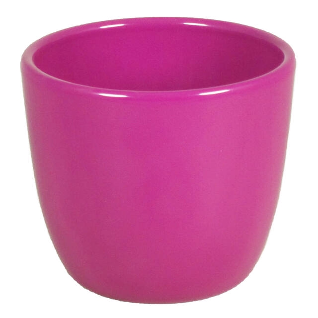 <h4>Boule D7,5xH6cm ES5,5/6 fuchsia 15pce/tray</h4>