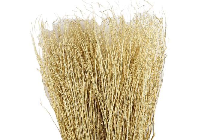 <h4>Berk Klb Gold</h4>