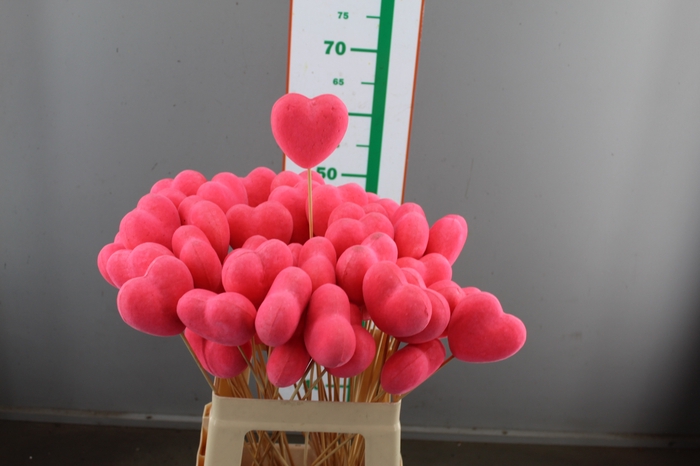 HART VELVET ROSE 8 CM