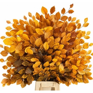 Faggio Preserved Yellow (beech,beuk)