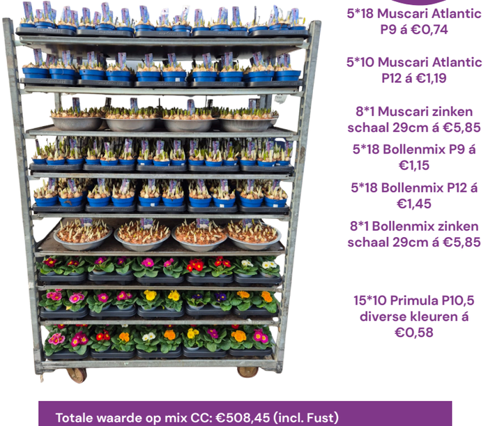 <h4>ACTIE instap mixkar Primula/Bol op pot</h4>