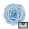 R P 89 Blue Light XL