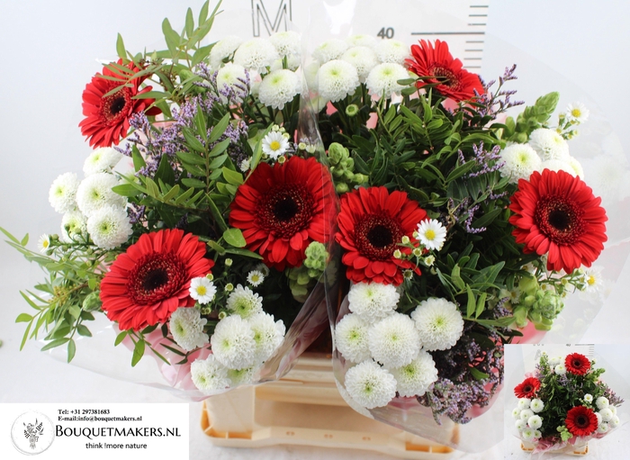 <h4>GEM BOEKET OV</h4>