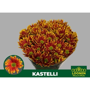 CHR T KASTELLI