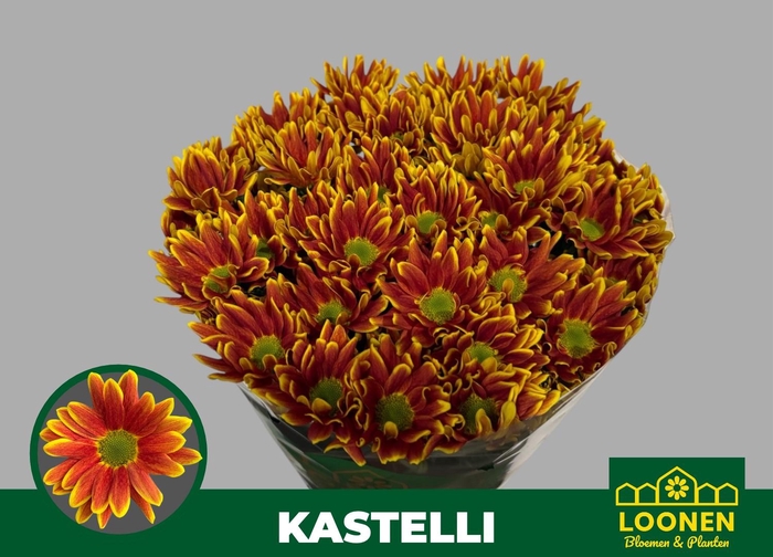 <h4>CHR T KASTELLI</h4>