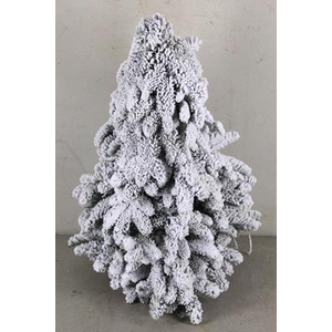 Tree Nobilis Natural+snow 60cm