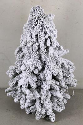 <h4>Tree Nobilis Natural+snow 60cm</h4>