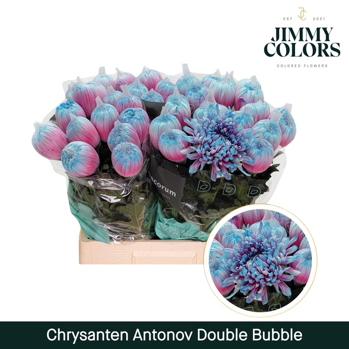 <h4>Chr G Antonov Double bubble</h4>