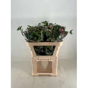 BOU DU DARK PINK IMP