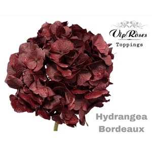 HYDR M BORDEAUX 80cm