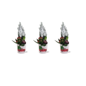Kerst Arrangement Collectie 