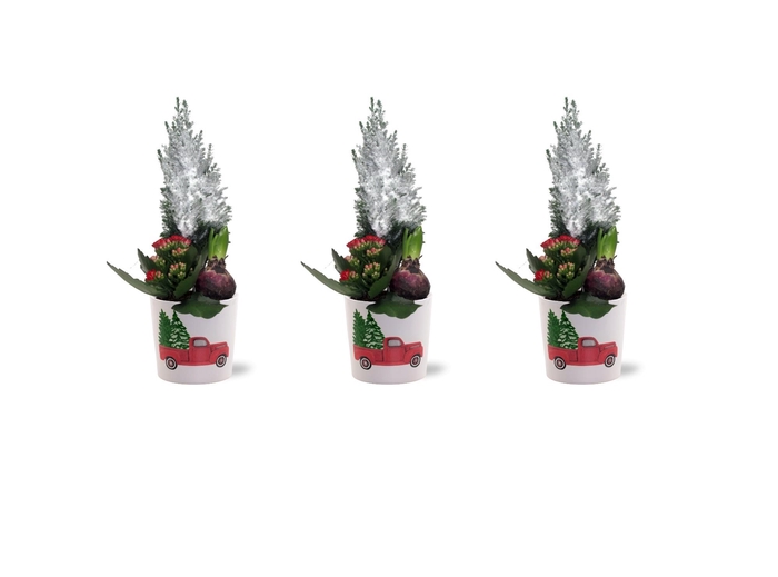 <h4>Kerst Arrangement Collectie "Craft world" keramiek Nöel</h4>