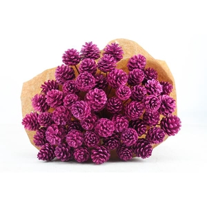 Droog Denneappel Cerise X40