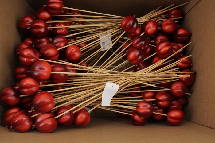 <h4>Stick Pomgranate 6cm Red</h4>
