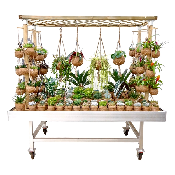 <h4>Kokodama Presentation Rack (exclusive plants and table)</h4>