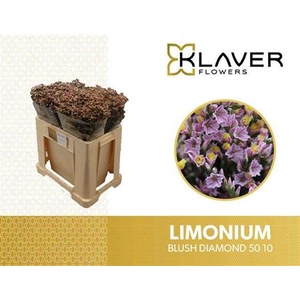Lim Sin Blush Diamond