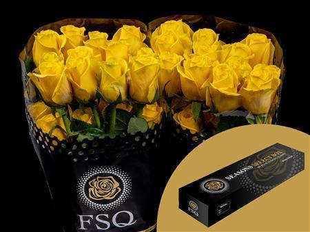 <h4>R Gr Goldfinch Box</h4>