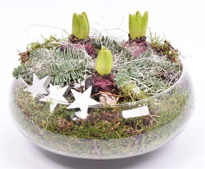 <h4>Glas schaal 24cm</h4>