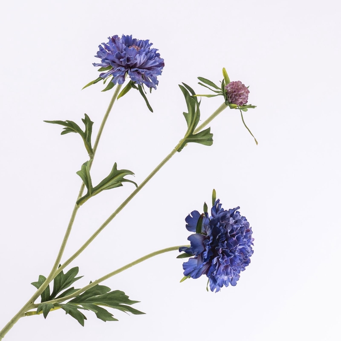 <h4>Scabiosa Spray Blue FL440345BLU</h4>