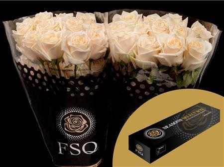 <h4>R Gr Soul Box</h4>