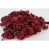 Schinus M Pt Burgundy Bunch
