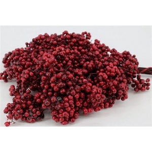 Schinus M Pt Burgundy Bunch