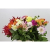 Dahlia  ...mix in bos