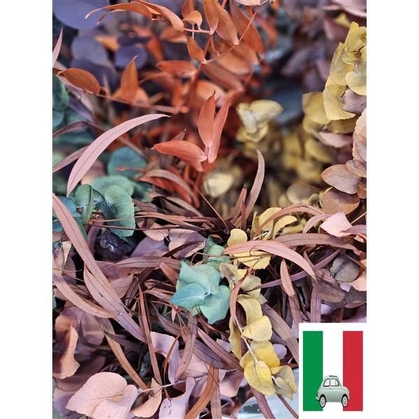 <h4>GESTABILISEERD EUC HERFST MIX</h4>