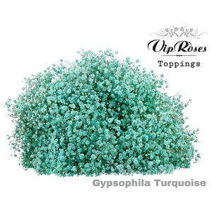 GYPS PA TURQUOISE