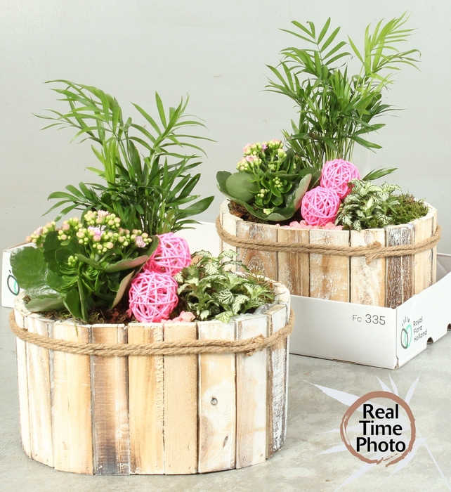 <h4>ARR KAMERPL</h4>