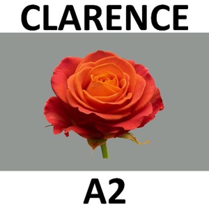 R Gr Clarence Berg A2