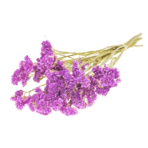 Statice Sinuata Natural Dark Pink