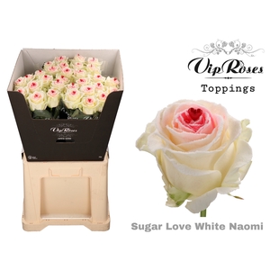 R GR SUGAR LOVE WHITE NAOMI