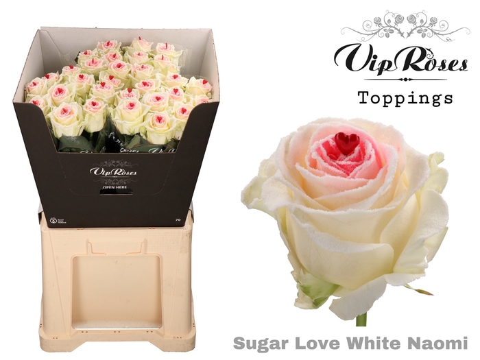 R GR SUGAR LOVE WHITE NAOMI