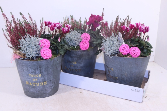 <h4>ARR TUINPLANTEN</h4>