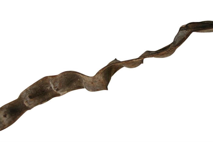 <h4>Cipo Escada 12+ L200cm</h4>