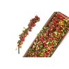 MALUS TAK 65CM