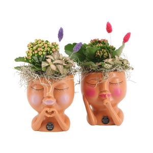 21604: Lovess arrangement