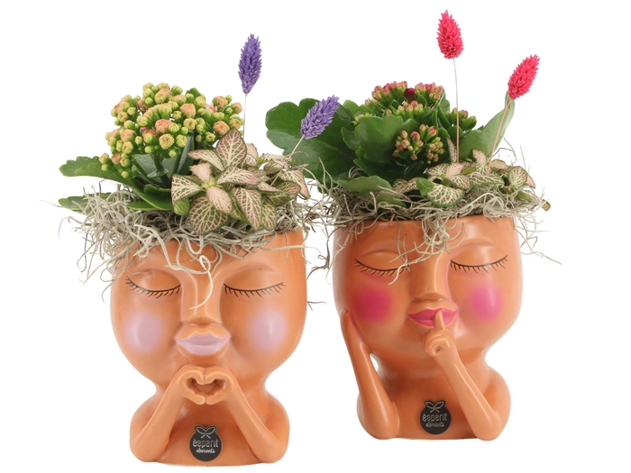 <h4>21604: Lovess arrangement</h4>