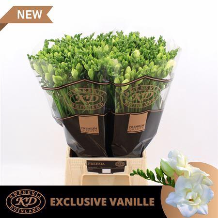 <h4>Fr Du Exclusive Vanille * New *</h4>