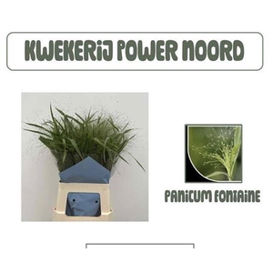 Panic Vi Fontaine 60 Cm